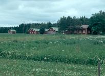 Gehft