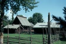 Mora