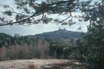 Hrad Trosky