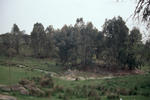 Alentejo