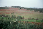 Alentejo