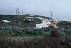 Carrapateira