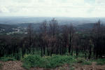 Algarve-Kste