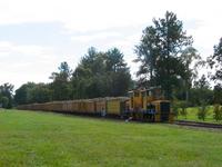 Cane tram