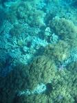 Great Barrier Reef