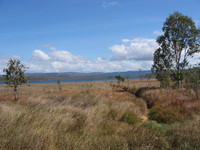 Lake Mitchell