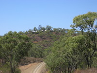 Tyrconnel