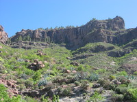 Pargana