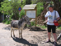 In Ayacata