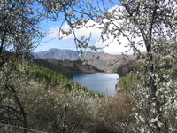 Presa de los Hornos
