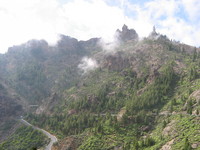Mnch