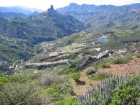 Roque Ventaiga