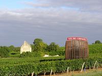 Weinberg