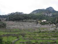 Coll de Sller