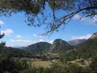 Coll de Honor