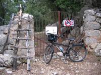 Radwegende