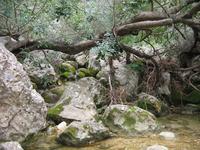 Barranc de Biniaraix