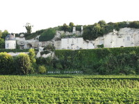 Weinberg