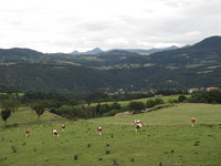 Massif Central