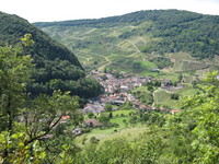 Cerdon