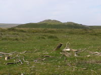 Dartmoor