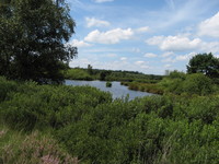 Teich