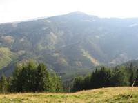 Klippitztörl