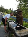 Klippitztörl