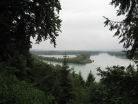 Salzach-Mündung
