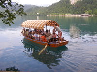 Bled