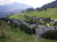 Spodnja