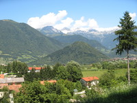 Volče