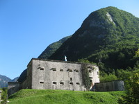 Flitscher-Klause