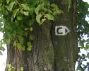 Radwegmarkierung