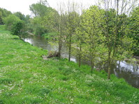 Chemnitztal bei Draisdorf