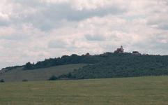 Komař vižka