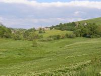 Moldava
