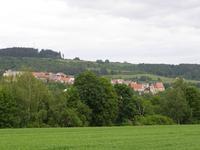 Žlutice