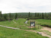 Am Moor