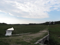 Saphirflössel