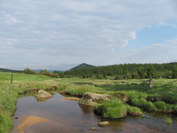 Saphirflössel