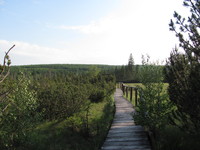 Torfmoor Jizerka