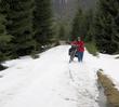 Schnee