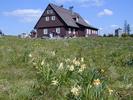 Misthaus