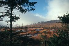 Moor Jizerka