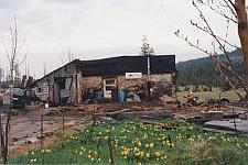 Misthausruine
